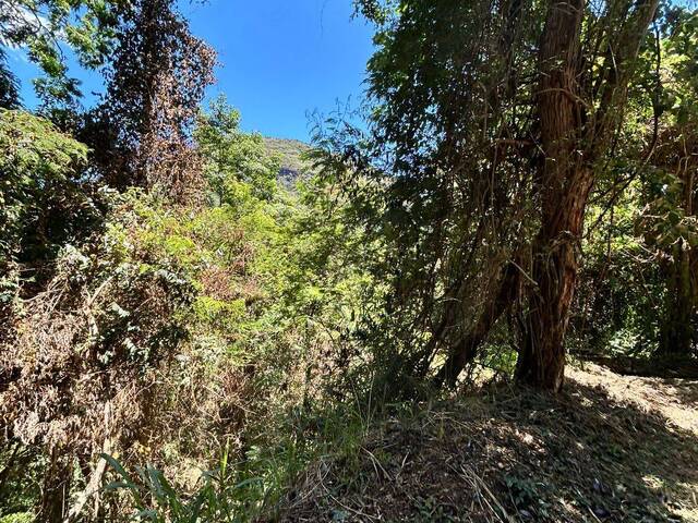 Terreno em condomínio para Venda em Petrópolis - 2