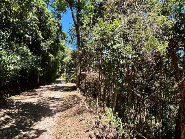 Terreno em condomínio para Venda em Petrópolis - 3