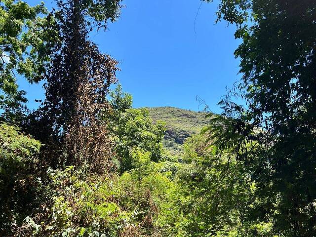 Terreno em condomínio para Venda em Petrópolis - 4