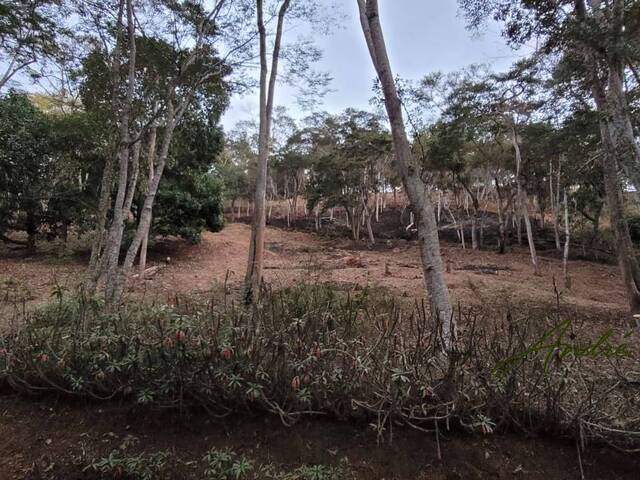 Venda em Itaipava - Petrópolis