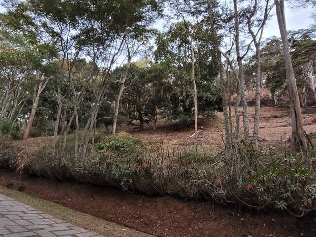 Terreno em condomínio para Venda em Petrópolis - 5
