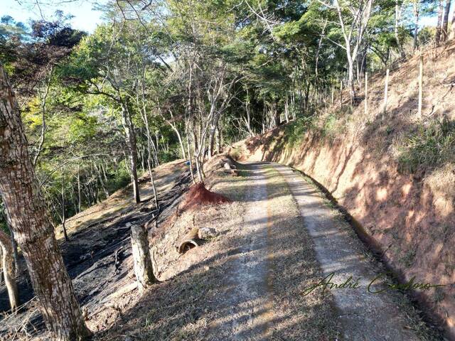 Terreno em condomínio para Venda em Petrópolis - 3