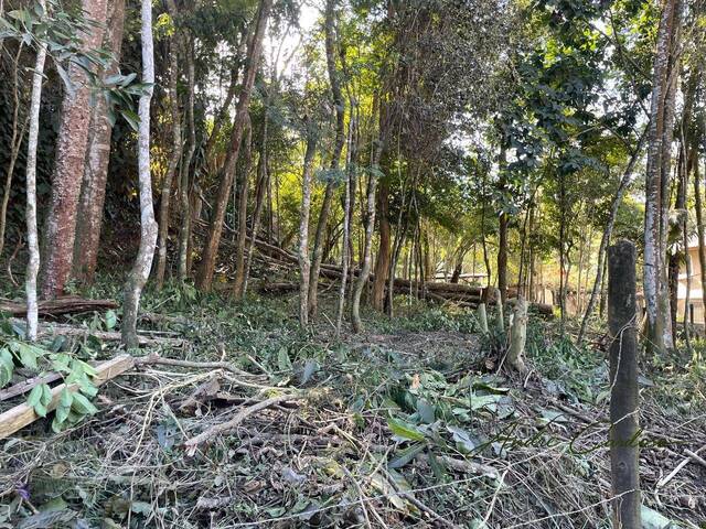 #24 - Terreno para Venda em Petrópolis - RJ - 3